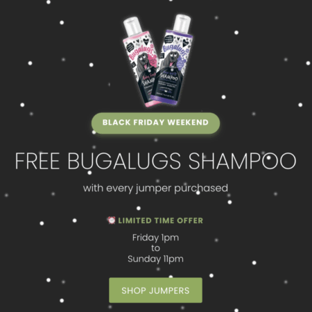 Alternative view of Lambswool Dog Jumper ASPEN | Ecru