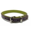 Leather dog collars