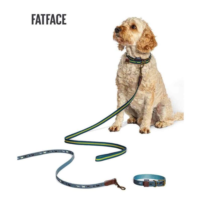 Fatface dog collars