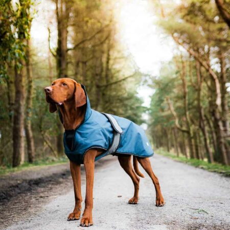 Dog coats & Jumpers