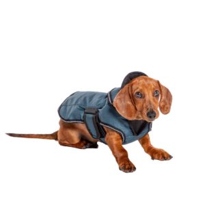 Dog coats for harnesses