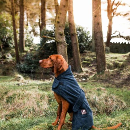 Dog drying robe