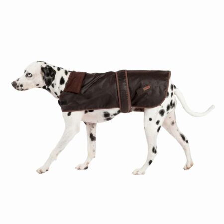 FatFace dog coat