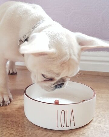 personalised dog bowls