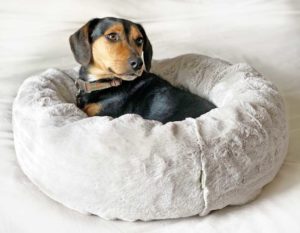 Donut dog beds