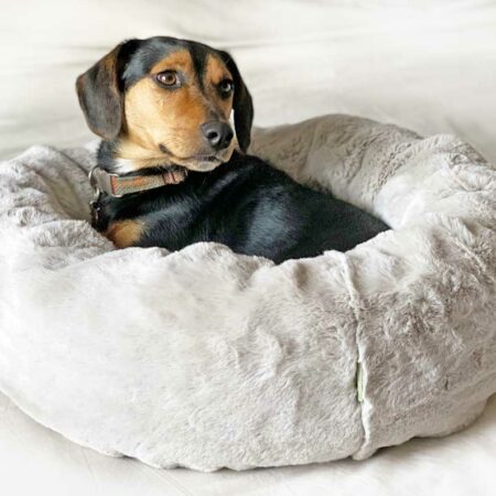 Donut dog beds