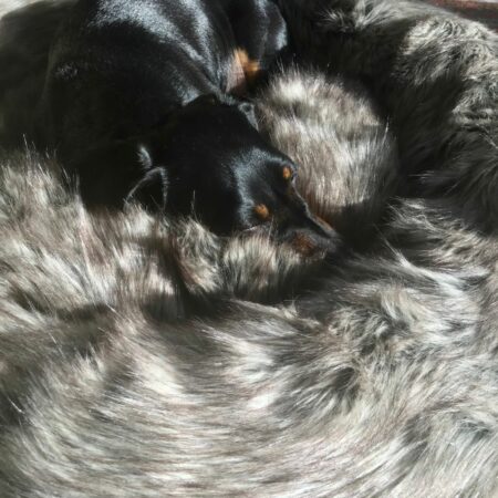 Faux fur donut dog bed