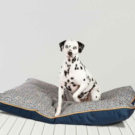 FatFace dog beds