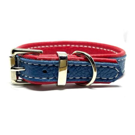 Blue leather dog collar