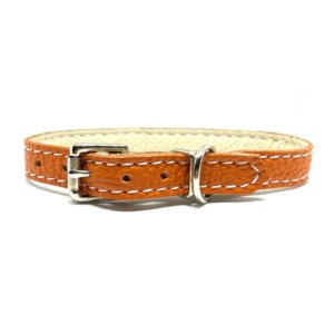 Leather puppy collar