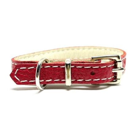 Puppy collar red