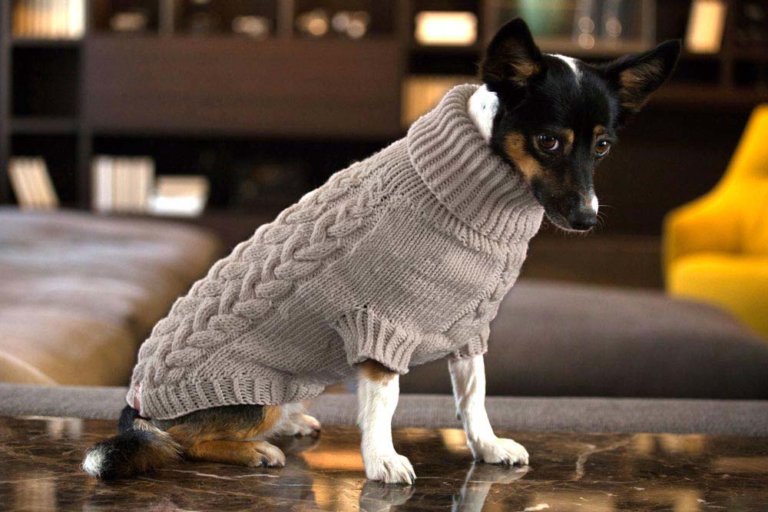 Wool Dog Jumpers