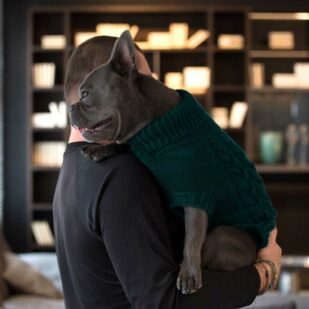 Luxury dog jumpers