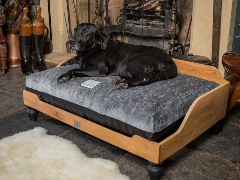 Velvet waterproof dog bed for older dogs