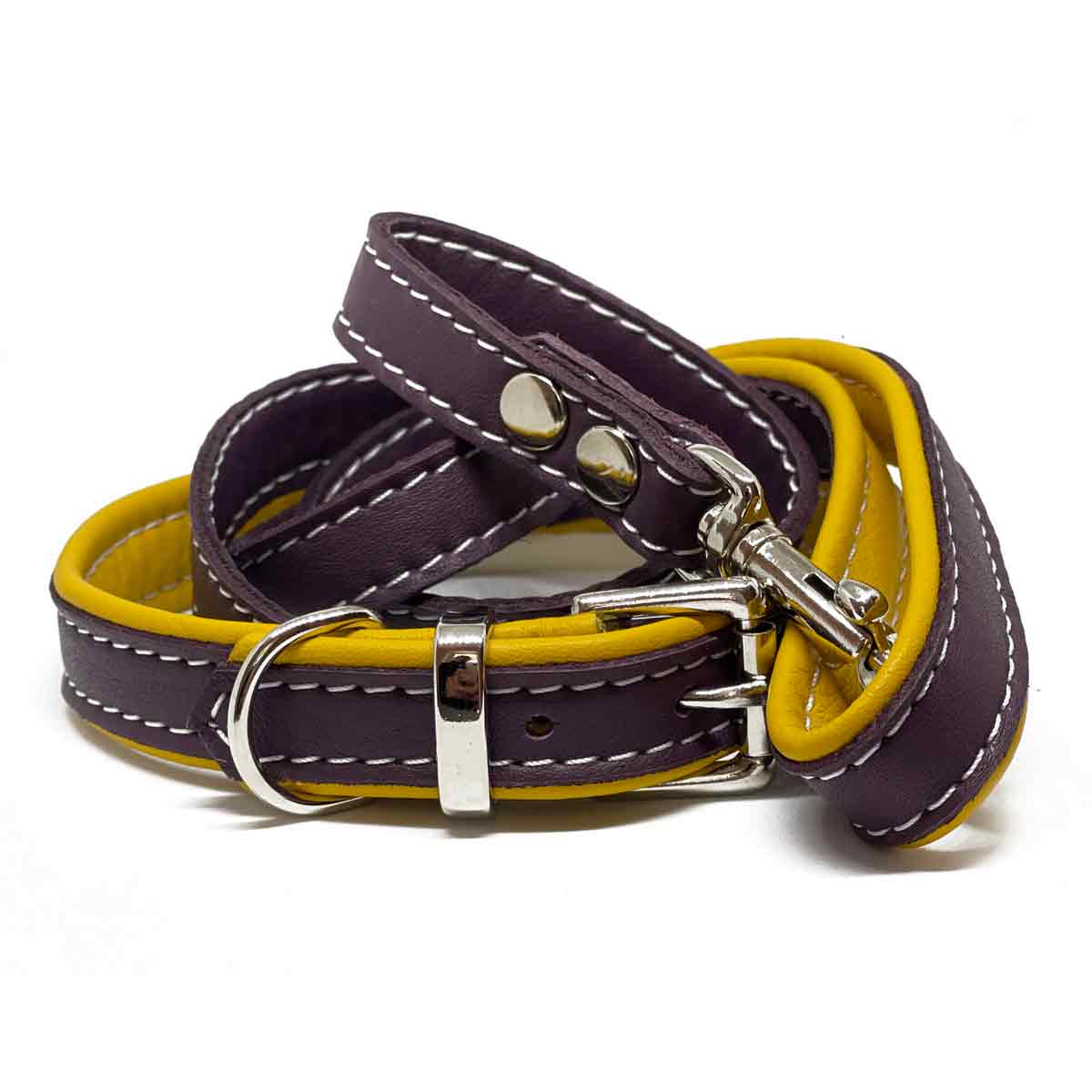 Leather puppy collars