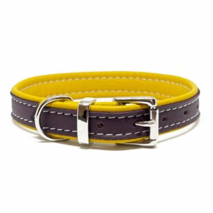 Leather puppy collars