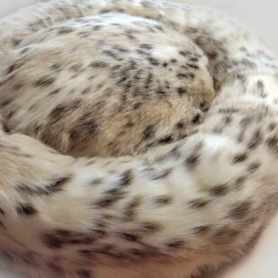 Lynx donut dog bed