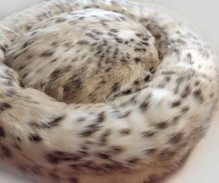 Lynx donut dog bed
