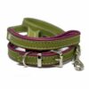 Leather puppy collars and leads