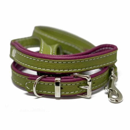 Leather puppy collars and leads