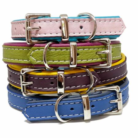 Soft Padded Leather Dog Collars