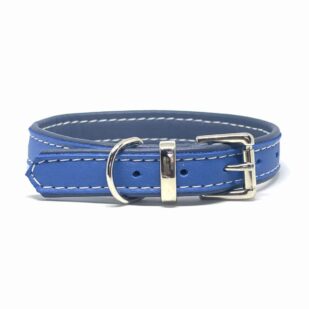 Blue leather dog collar