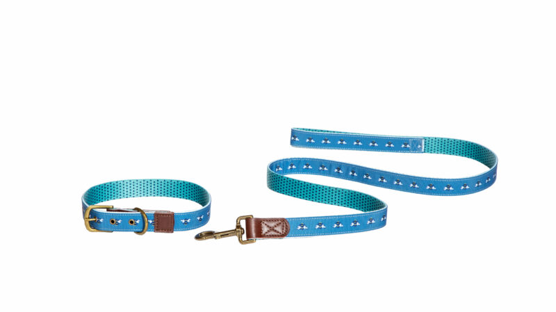 Fatface dog collars and leads