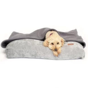 Grey dog cushion