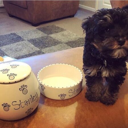 Ceramic dog bowls