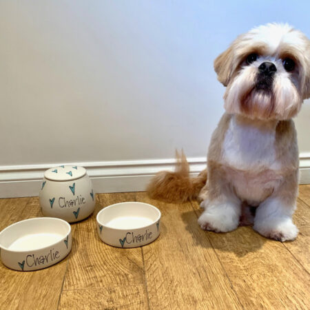Ceramic dog bowls