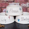 Ceramic dog bowls