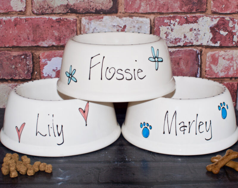 Ceramic dog bowls