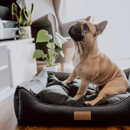 Luxury dog beds