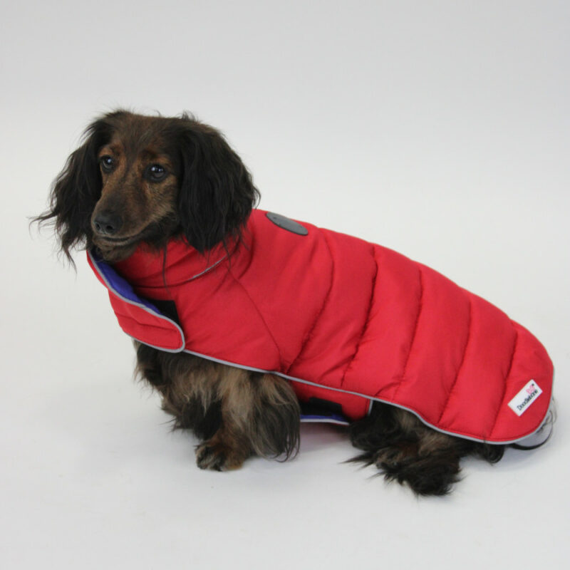 Luxury dog coats