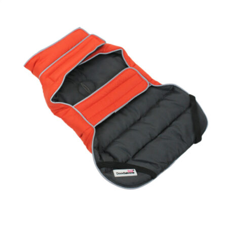 Orange dog coat