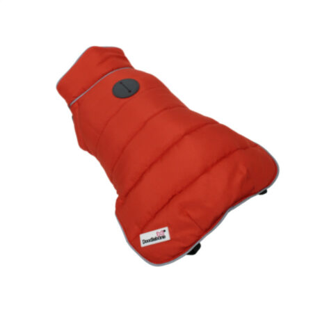 Orange dog coat