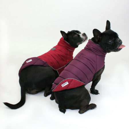 Combi-Puffer Jacket for dogs | Punch and Burgundy
