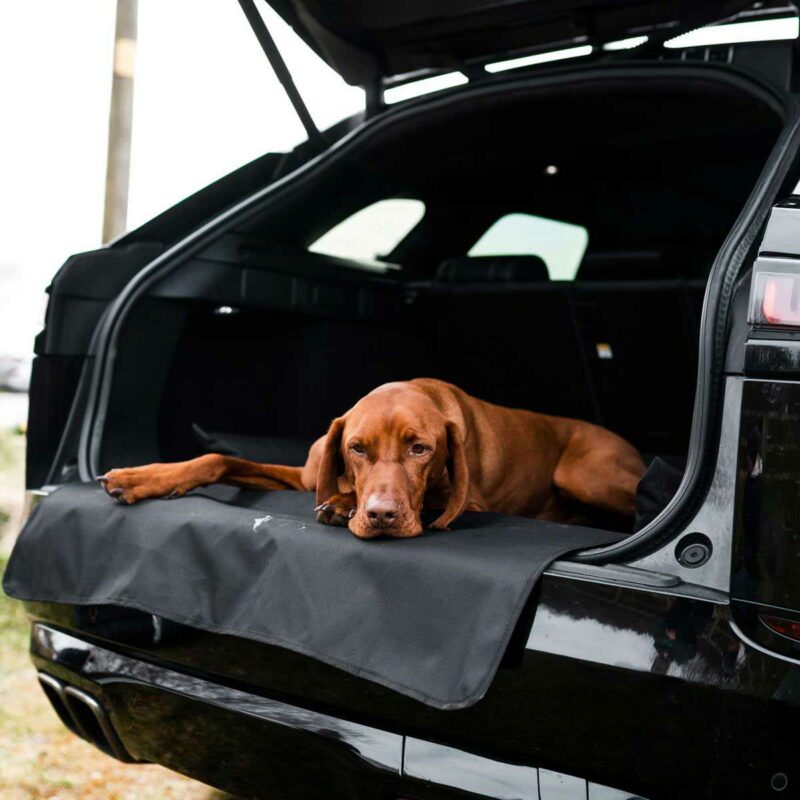 Dog car boot bed protector