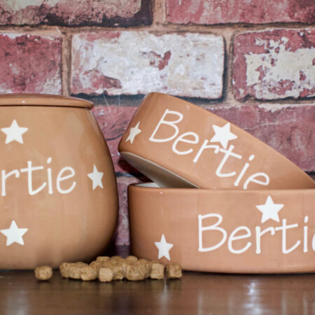 Dog bowls and a treat jar