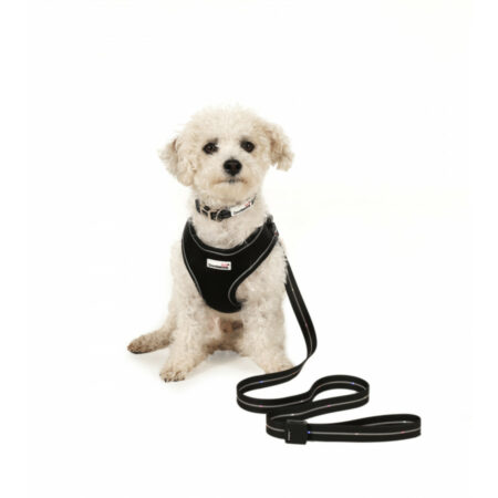 Light up dog lead