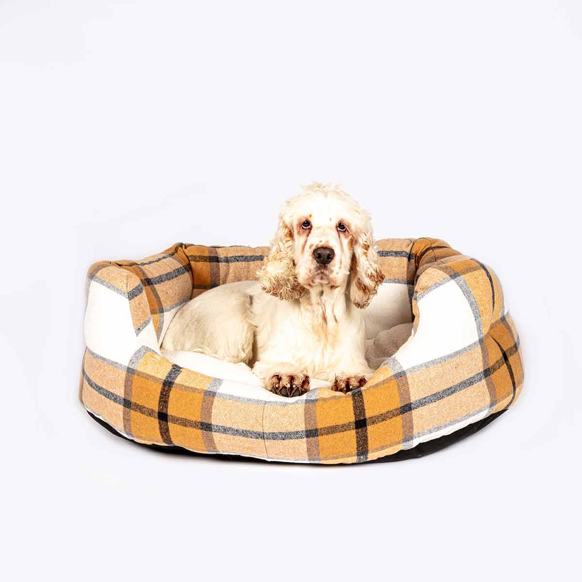 Dog beds