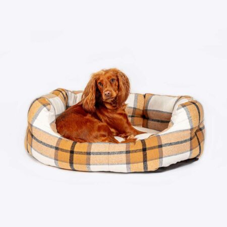 Luxury dog beds