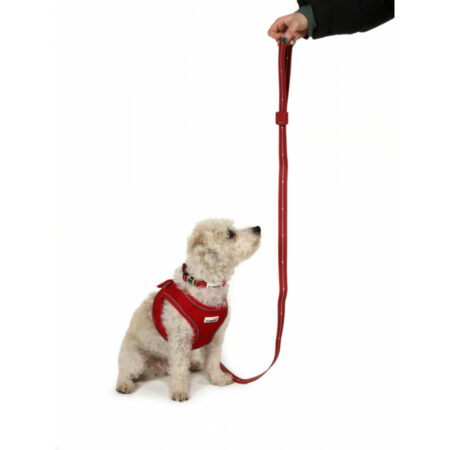 Alternative view of Light up dog lead