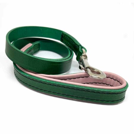 Alternative view of Padded leather dog collar | Forest Green and blossom