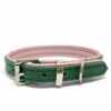 Green and pink padded leather dog collar