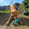 Eco air rope ball dog toy