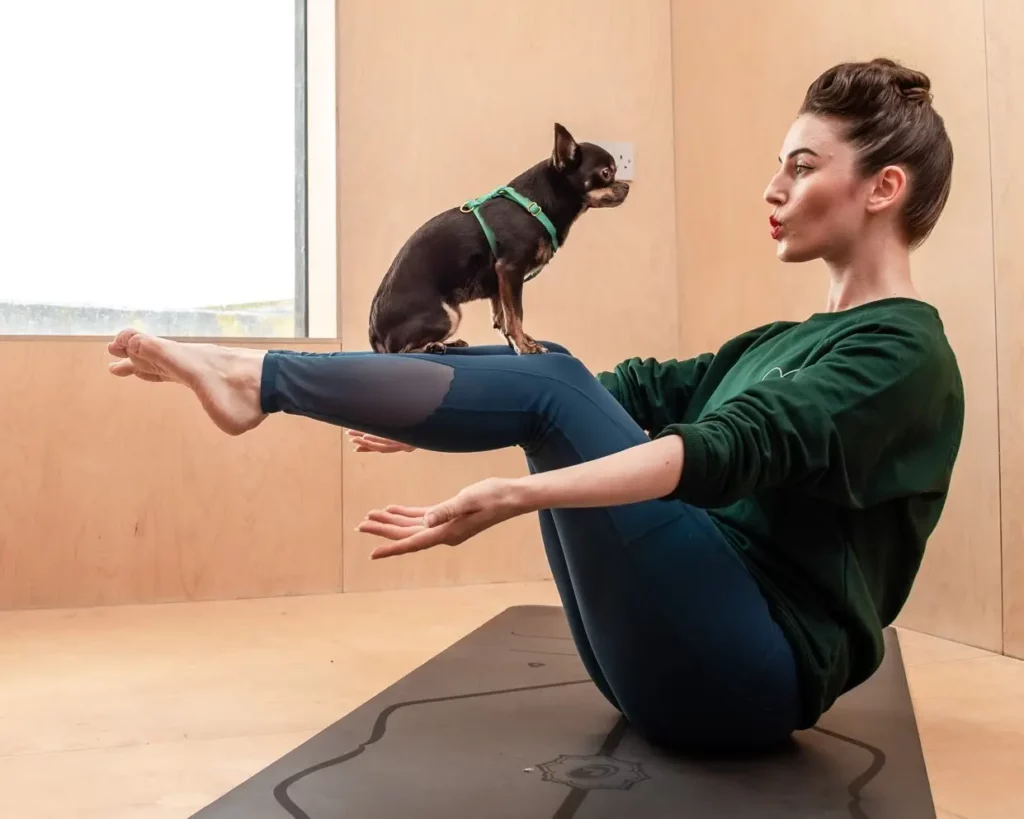 Teeny harnesses for puppies and small dogs