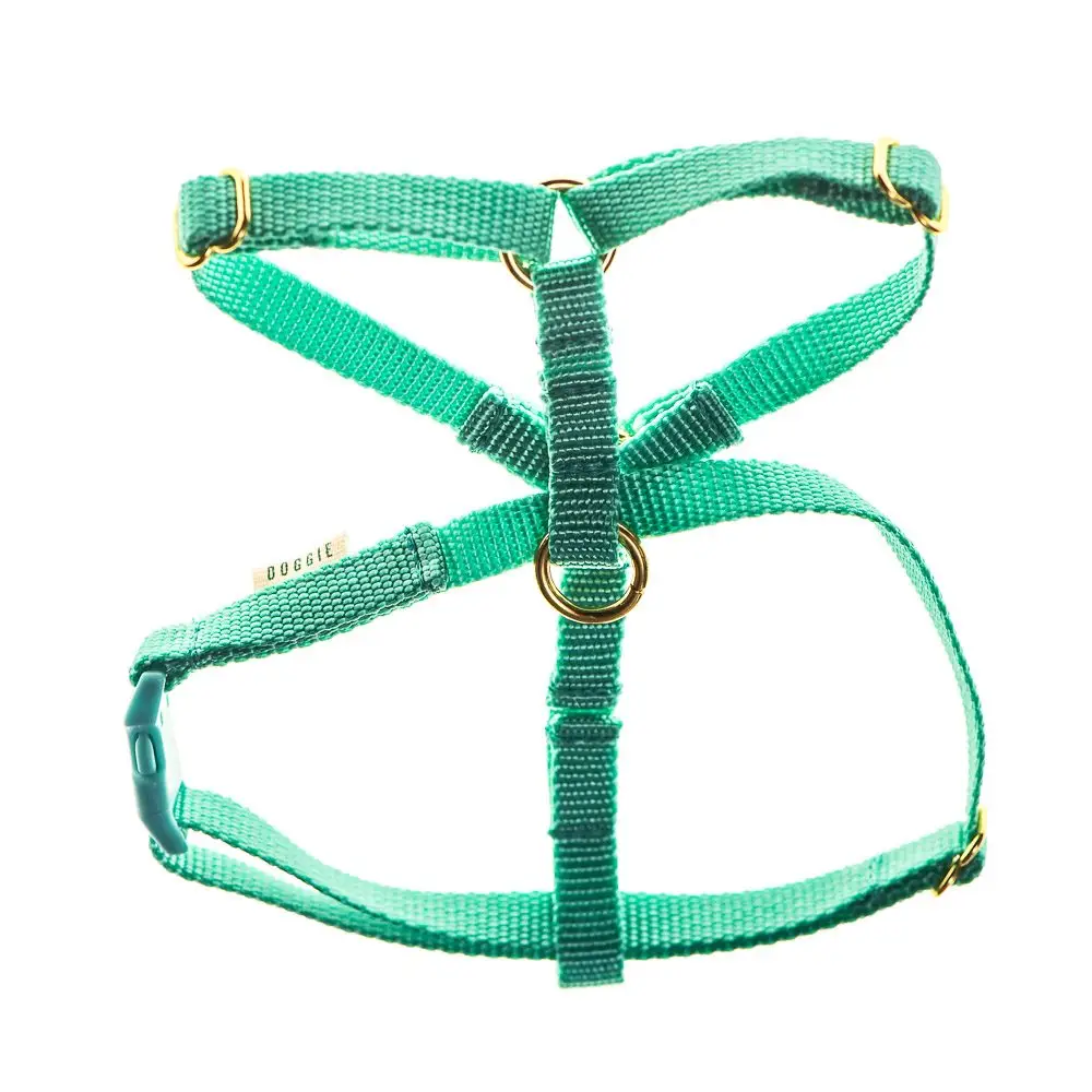 Teeny harnesses for puppies and small dogs