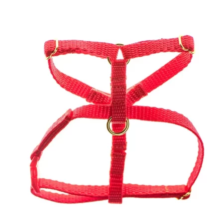 Teeny harnesses for puppies and small dogs