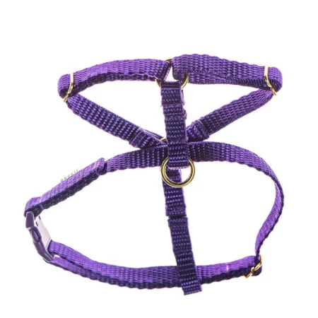 Teeny harnesses for puppies and small dogs